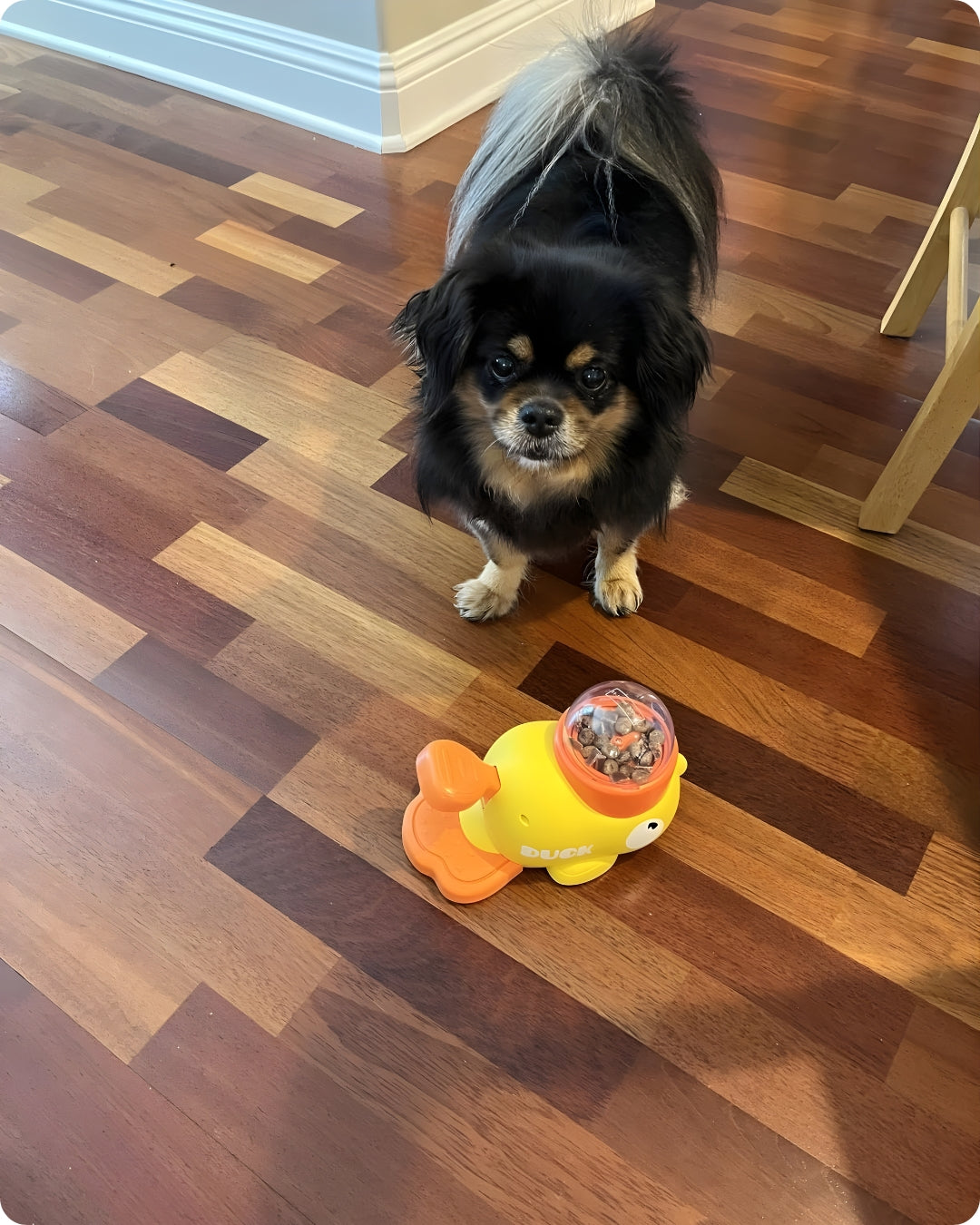 MacMonte™ PawPlay Smart Feeder